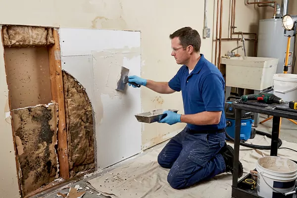 Mold and Drywall Repair Olathe