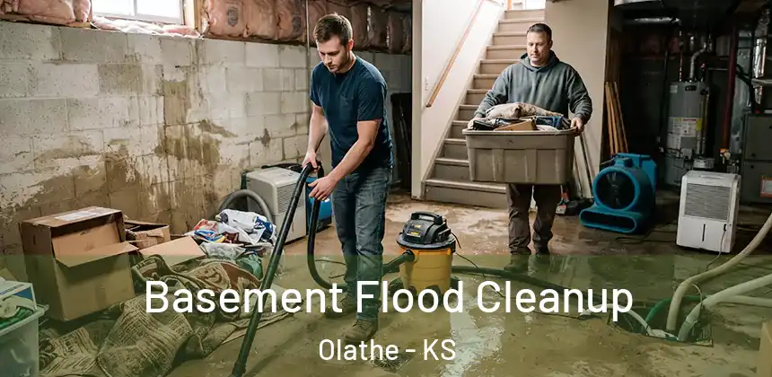  Basement Flood Cleanup Olathe - KS