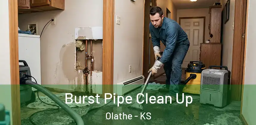  Burst Pipe Clean Up Olathe - KS