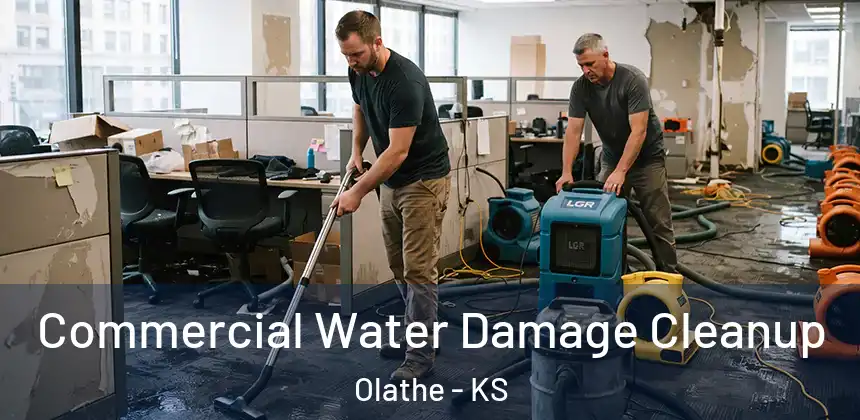  Commercial Water Damage Cleanup Olathe - KS