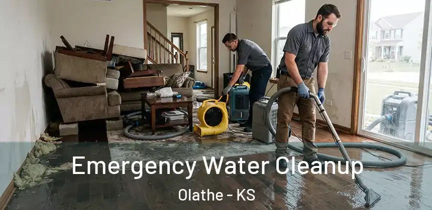  Emergency Water Cleanup Olathe - KS