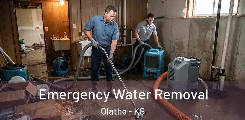  Emergency Water Removal Olathe - KS