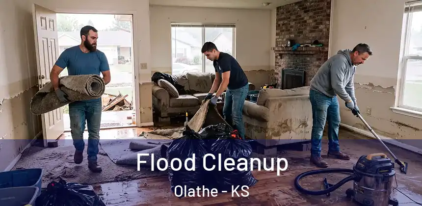  Flood Cleanup Olathe - KS