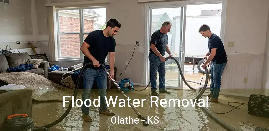  Flood Water Removal Olathe - KS