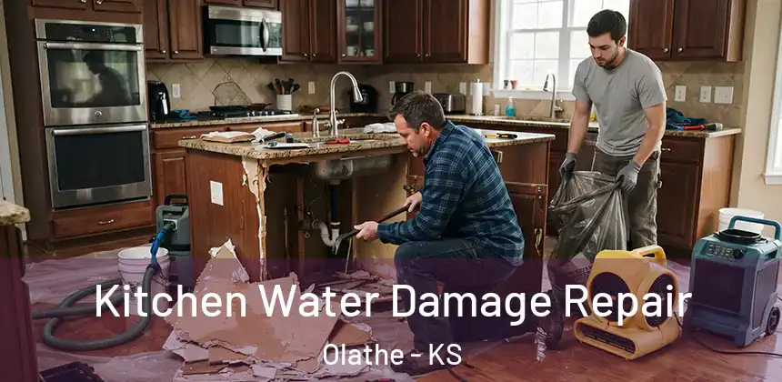  Kitchen Water Damage Repair Olathe - KS