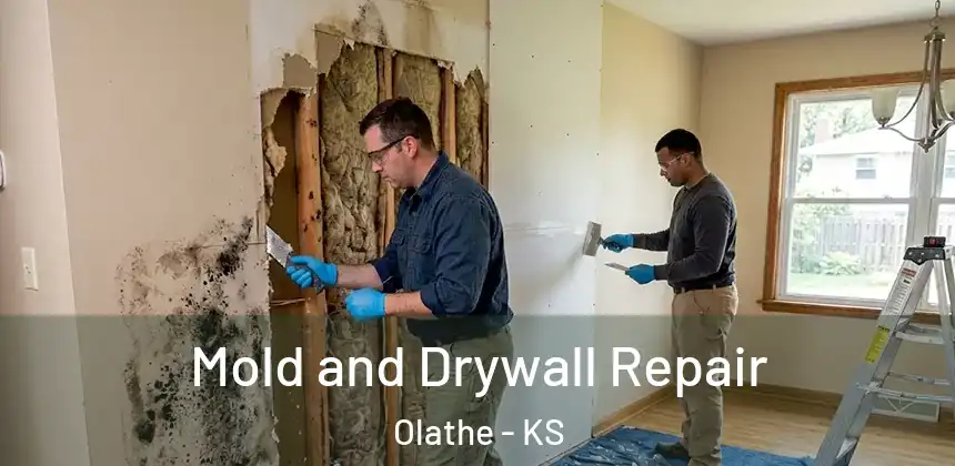 Mold and Drywall Repair Olathe - KS