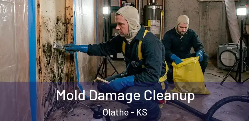  Mold Damage Cleanup Olathe - KS