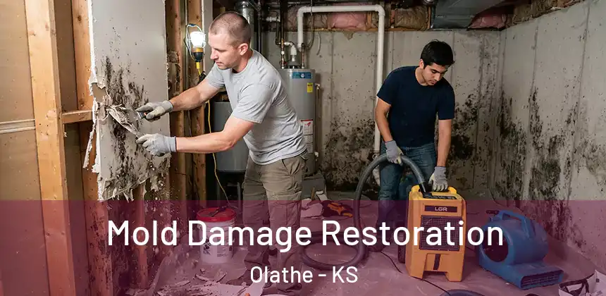  Mold Damage Restoration Olathe - KS