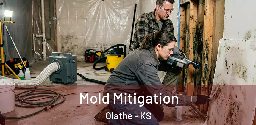 Mold Mitigation Olathe - KS