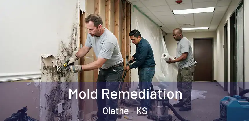  Mold Remediation Olathe - KS