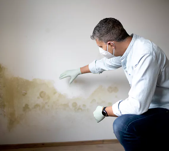 Mold Removal Service in Olathe, KS