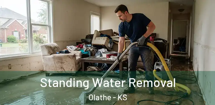  Standing Water Removal Olathe - KS