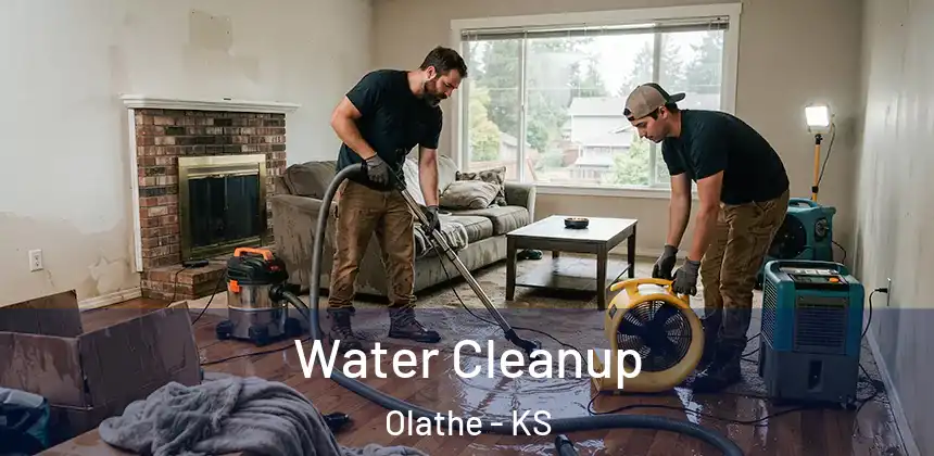  Water Cleanup Olathe - KS