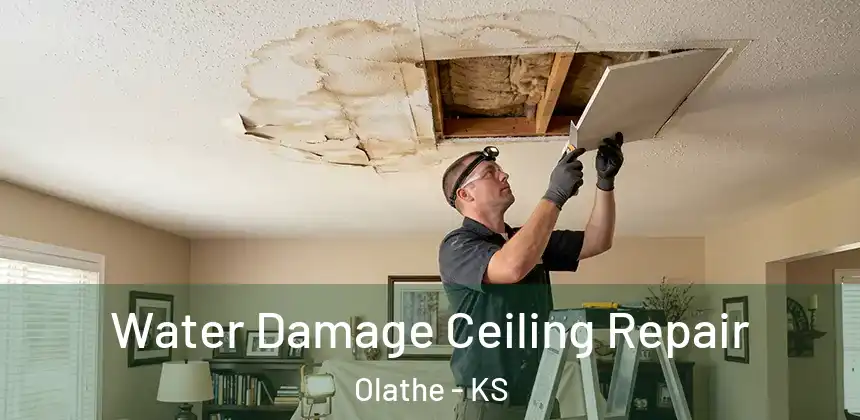  Water Damage Ceiling Repair Olathe - KS
