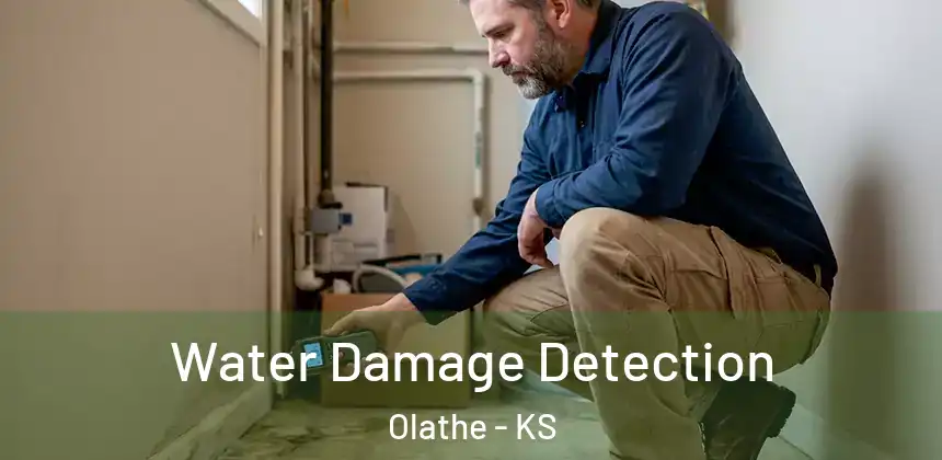  Water Damage Detection Olathe - KS