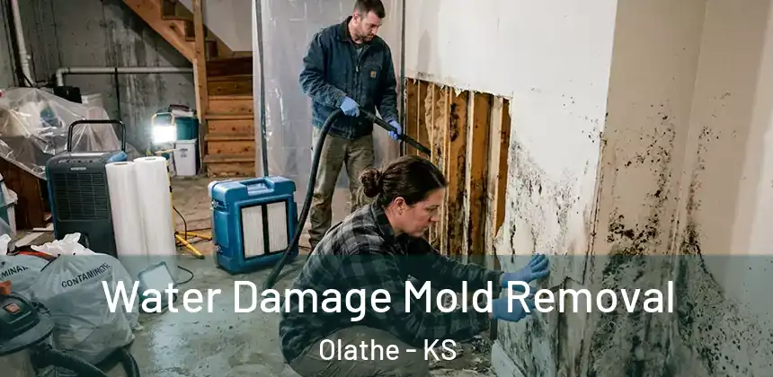  Water Damage Mold Removal Olathe - KS
