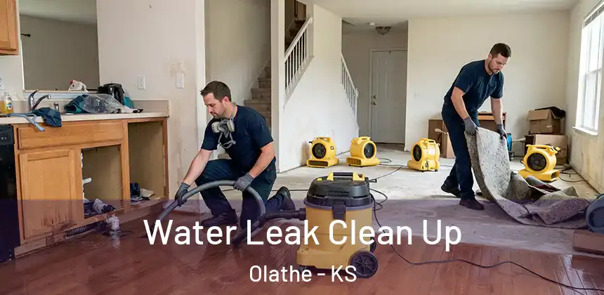  Water Leak Clean Up Olathe - KS
