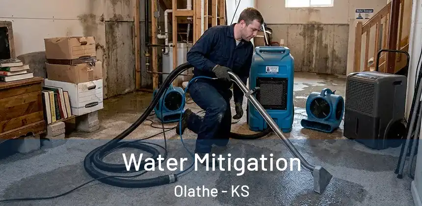 Water Mitigation Olathe - KS