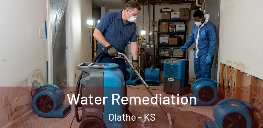  Water Remediation Olathe - KS