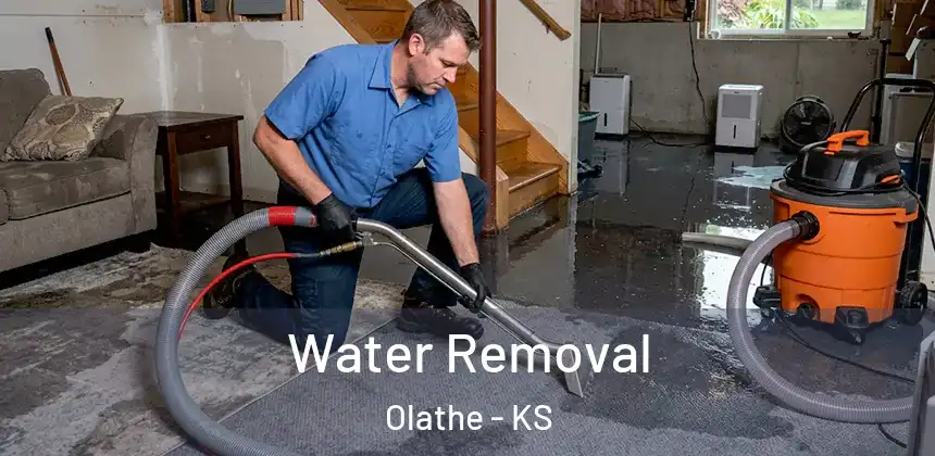  Water Removal Olathe - KS