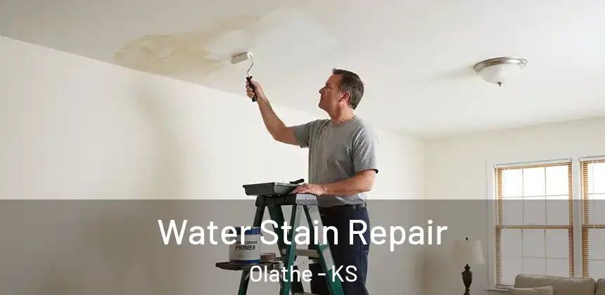  Water Stain Repair Olathe - KS